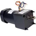 AC Geared Motor