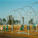 Agricultural Projects