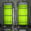 Algae Photobioreactor