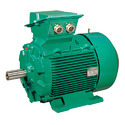 Asynchronous Electric Motor