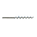 Auger Screw