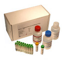 Bacteria Test Kits