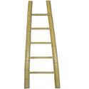 Bamboo Ladder