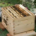 Beehive Box