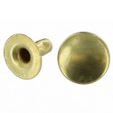 Brass Rivet