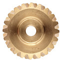 Bronze Worm Gear