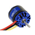 Brushless Motors