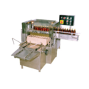 Case Packing Machinery