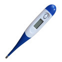 Clinical Digital Thermometer