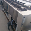 Cold Storage Installation Services