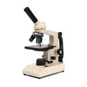 Compound Light Microscope