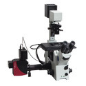 Confocal Microscope