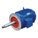 Cooling Tower Motors