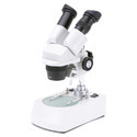 Dissecting Microscope