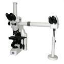 Dual Head Microscope