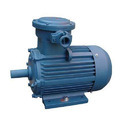 Explosion Proof Motors