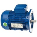 Flange Motors