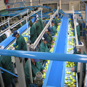 Food Processing Plant