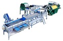 Fruit Grading Machine