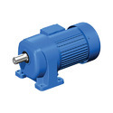 Gear Reducer Motor