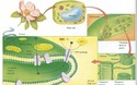 Glucose Making Plant