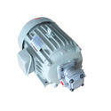 High Pressure Gear Pump