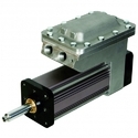 Linear Servo Motor