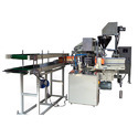 Lined Carton Packing Machine