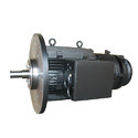 Low Voltage Motor