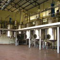 Masala Processing Plant