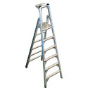 Mild Steel Ladders