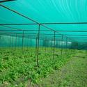 Nursery Shade Net