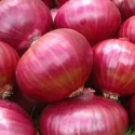 Onions