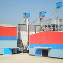 Paddy Parboiling Plant