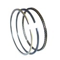 Piston Ring Spring