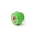 PPR Female Threaded Adapter