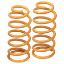 Precision Coil Spring