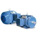 Premium Efficiency Motors