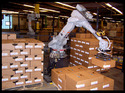 Robotic Palletizers