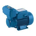 Self Priming Peripheral Pump