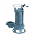 Sludge Pumps