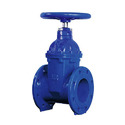 Sluice Valve