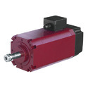 Spindle Motors