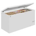 SS Deep Freezer