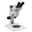 Stereo Microscopes