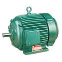 TEFC Induction Motor