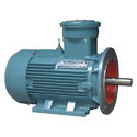 Three Phase Electric Motor