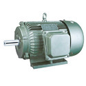 Three Phase Induction Motor