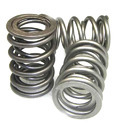 Valve Spring