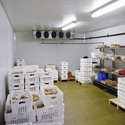 Vegetable Cold Storage